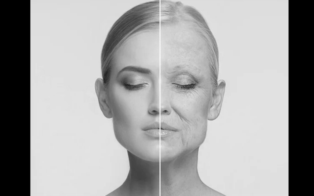 Getting around muscle aging by modulating the function of immune cells
