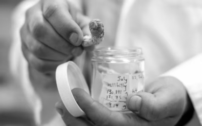 Do You Need to ‘Trip’ for Psychedelics to Work as Medicine?